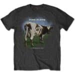 Pink Floyd Atom Heart Mother Fade grau